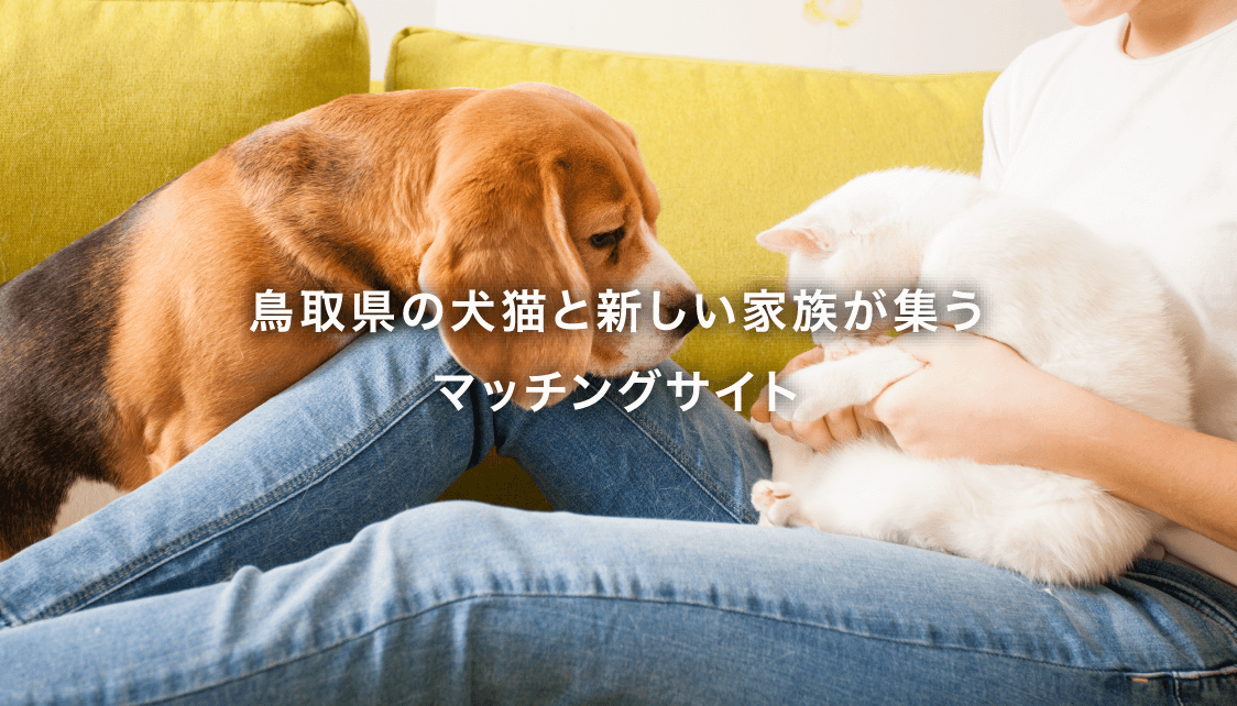 鳥取県の犬猫と新しい家族が集うマッチングサイト